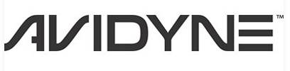Avidyne Corporation